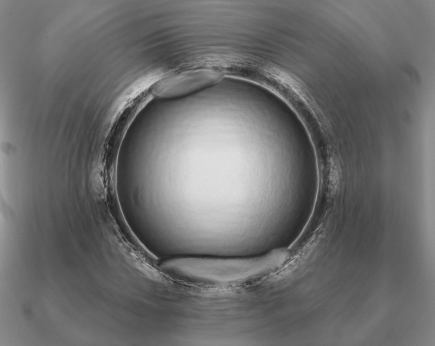 X0000090921018200708061539