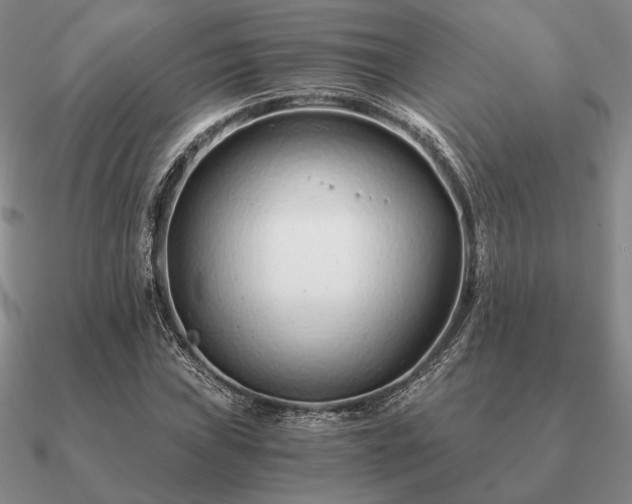 X0000090921019200708061539