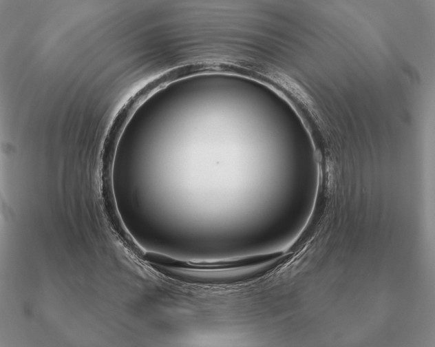 X0000090921020200708061539