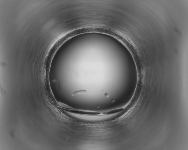 X0000090921021200708061539