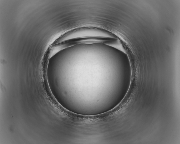 X0000090921022200708061539