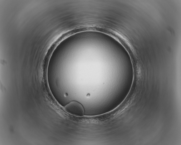 X0000090921023200708061539