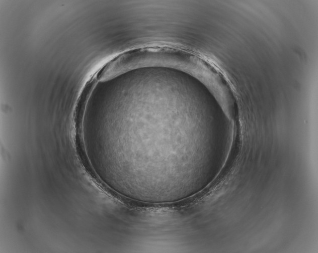 X0000090921024200708061539