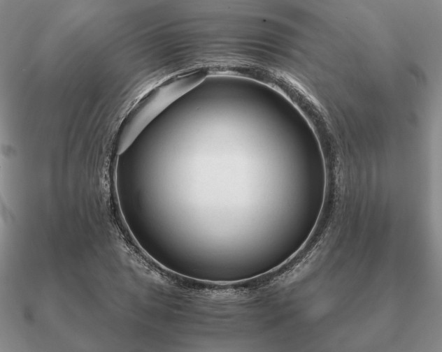 X0000090921025200708061539