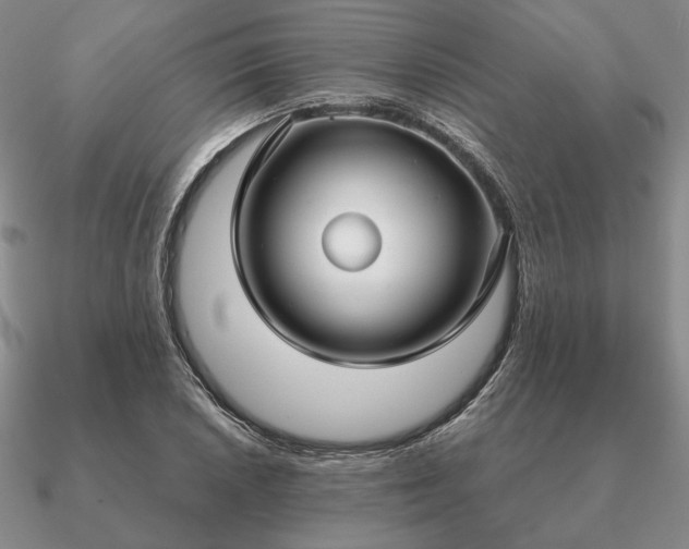 X0000090921026200708061539