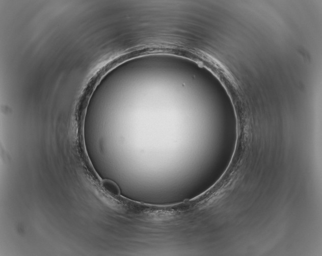 X0000090921027200708061539