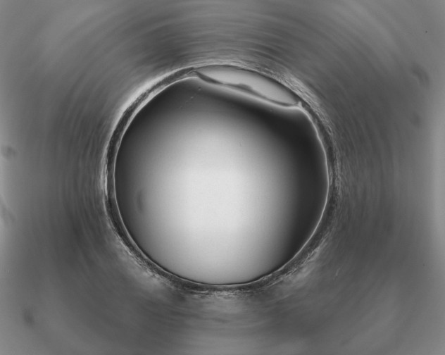 X0000090921028200708061539