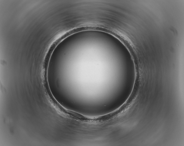 X0000090921029200708061539