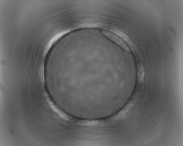 X0000090921030200708061539