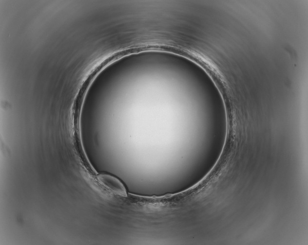 X0000090921031200708061539