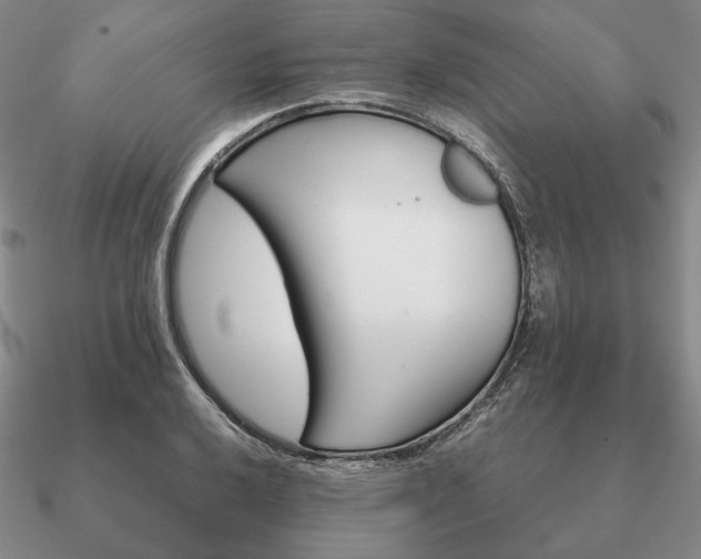 X0000090921032200708061539