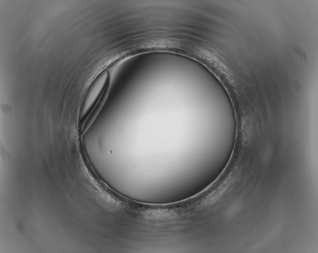 X0000090921033200708061539