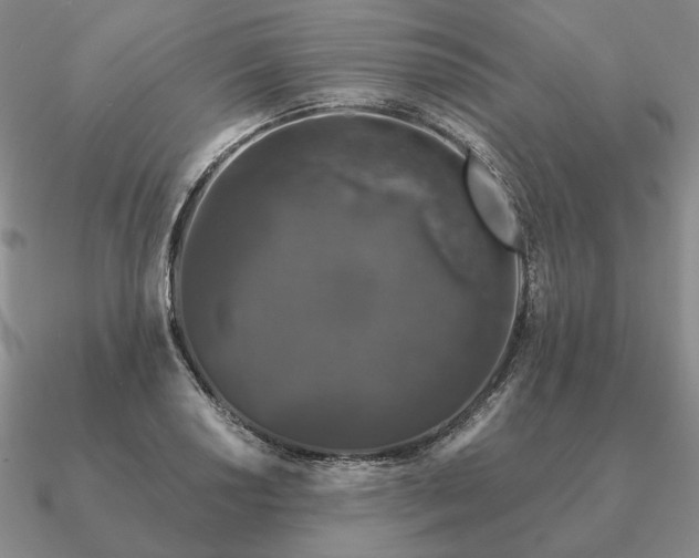 X0000090921034200708061539