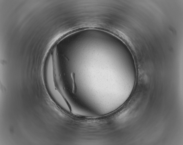 X0000090921035200708061539