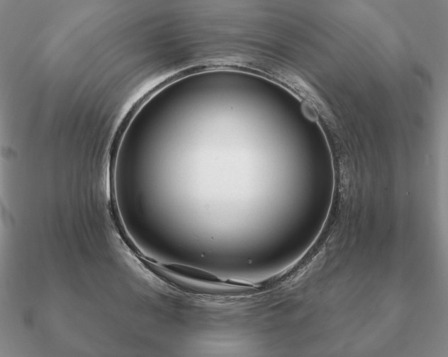 X0000090921036200708061539