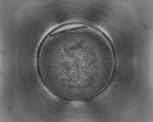 X0000090921037200708061539