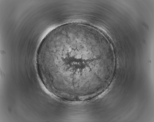 X0000090921038200708061539