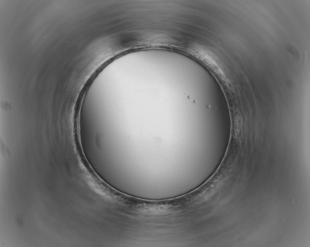 X0000090921039200708061539