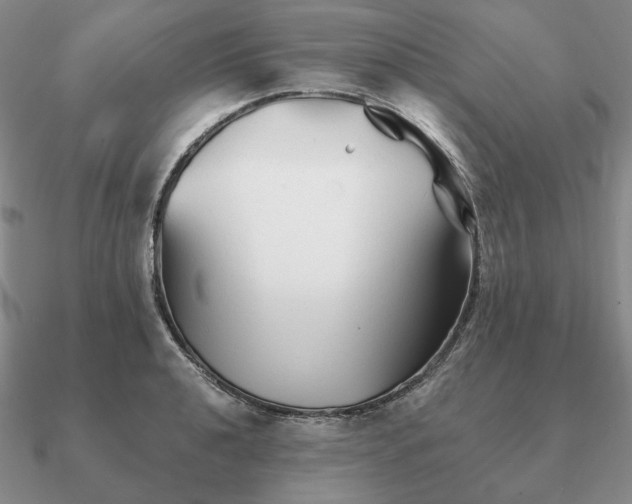 X0000090921040200708061539