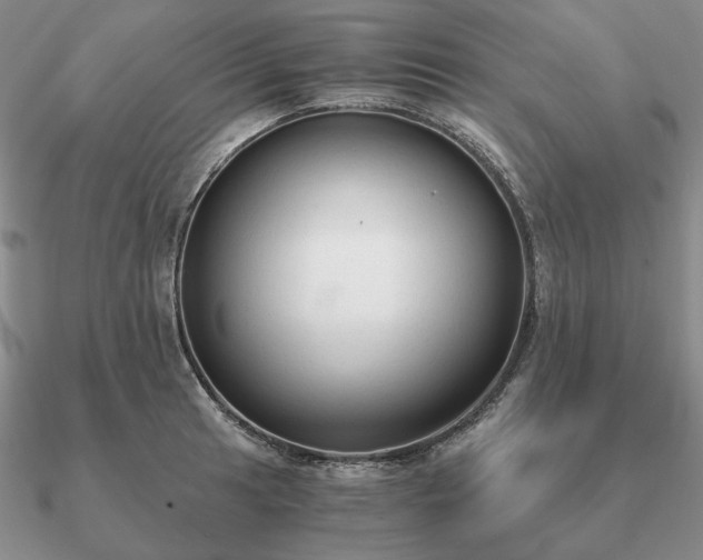 X0000090921041200708061539