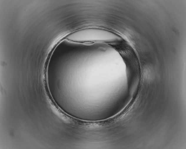 X0000090921042200708061539