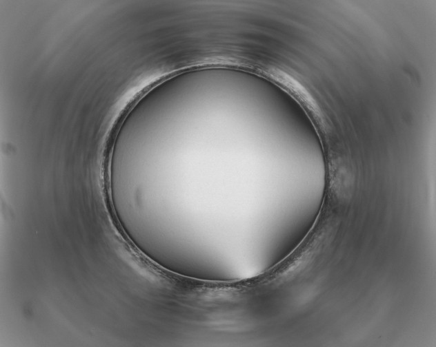 X0000090921043200708061539