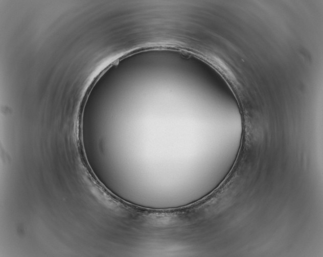 X0000090921044200708061539