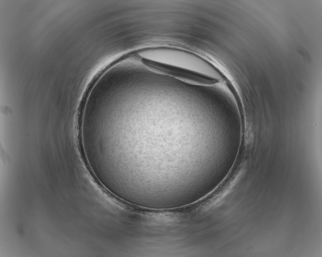 X0000090921045200708061539