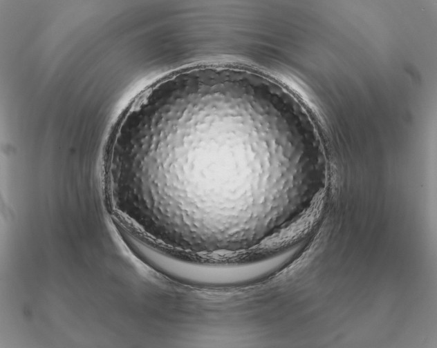 X0000090921046200708061539