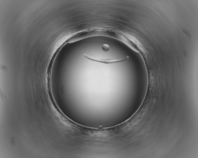 X0000090921047200708061539