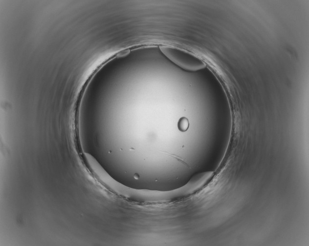 X0000090921048200708061539