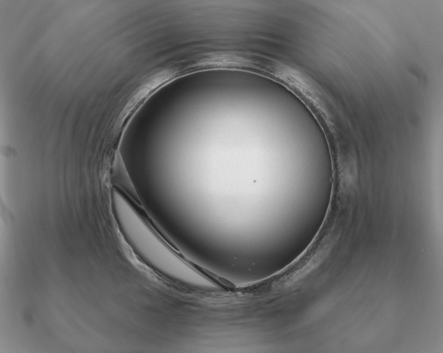 X0000090921049200708061539