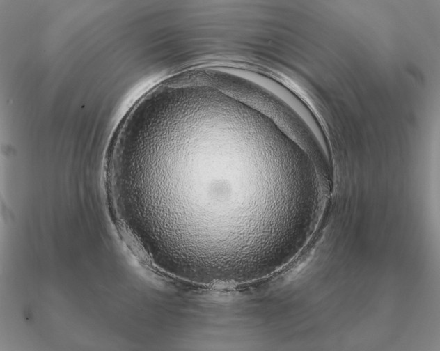 X0000090921050200708061539