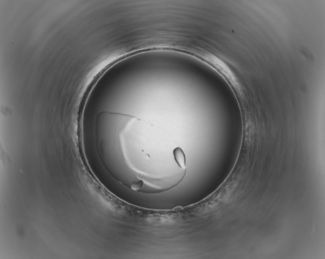 X0000090921051200708061539