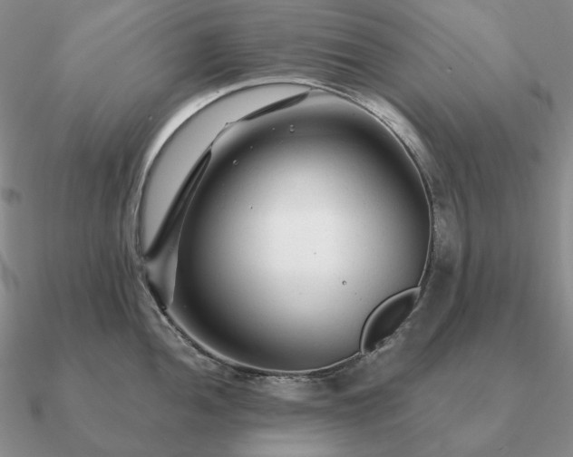 X0000090921052200708061539