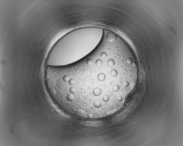 X0000090921053200708061539