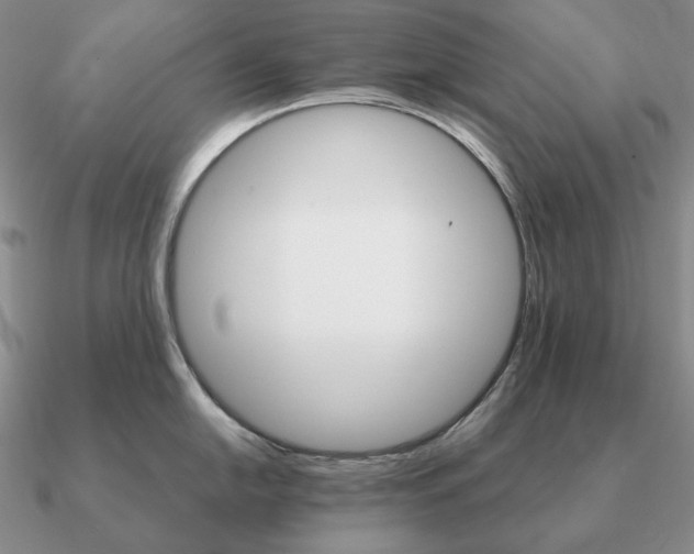 X0000090921054200708061539