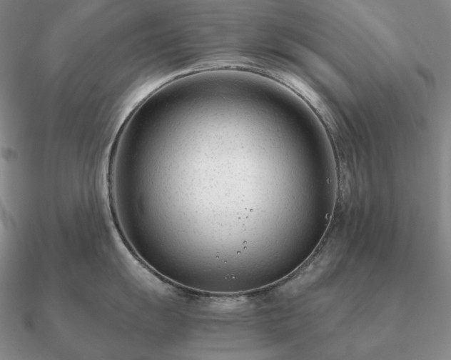 X0000090921055200708061539