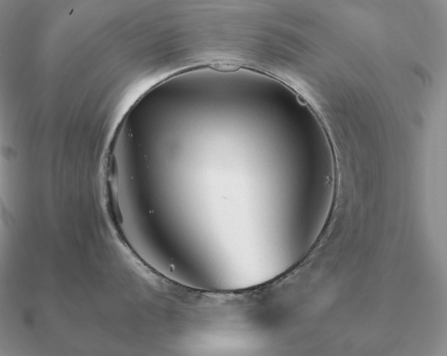 X0000090921056200708061539