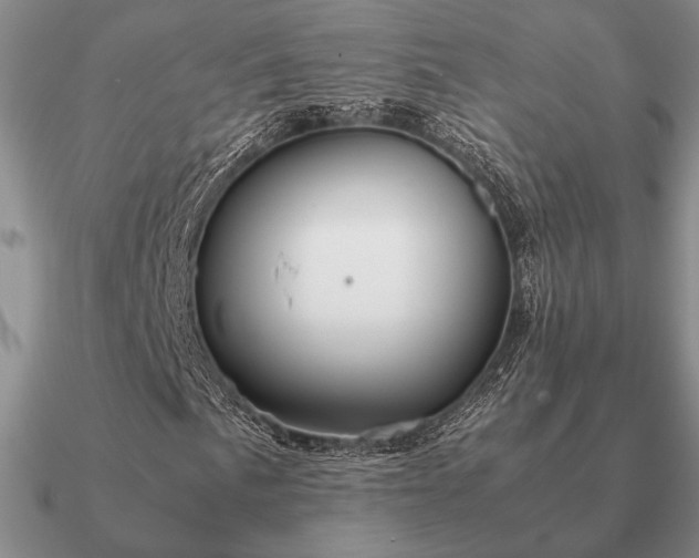 X0000090921057200708061538