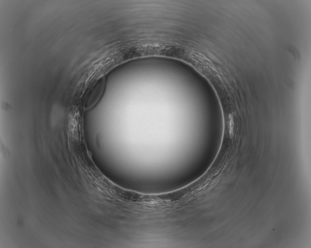 X0000090921059200708061538