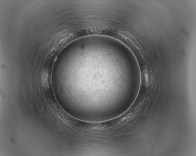 X0000090921060200708061538