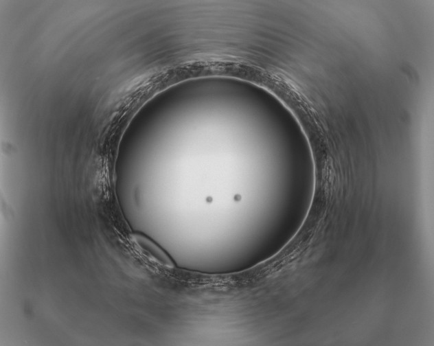 X0000090921062200708061538