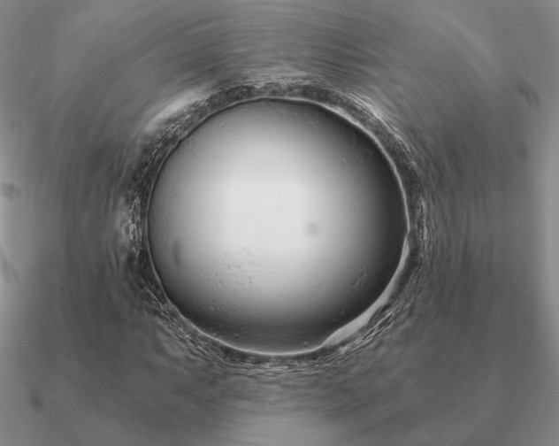 X0000090921063200708061538