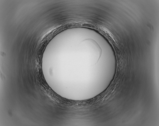 X0000090921064200708061538