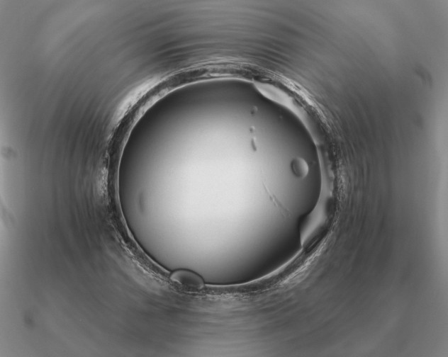 X0000090921066200708061538