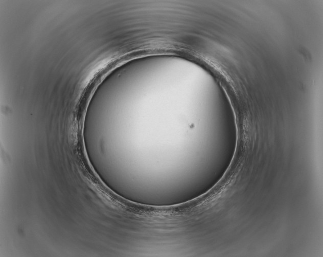 X0000090921067200708061538