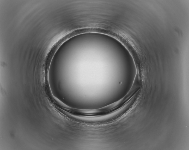 X0000090921069200708061538