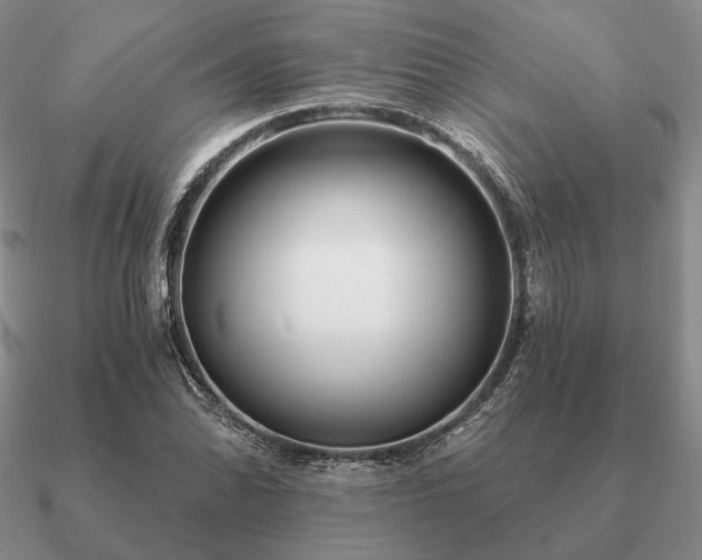 X0000090921070200708061538