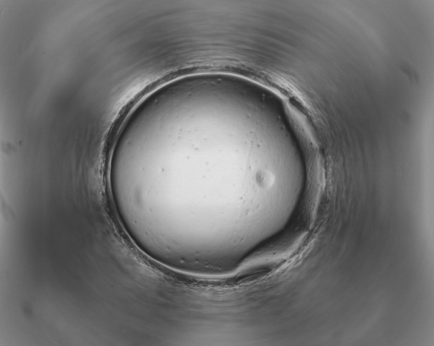 X0000090921071200708061538